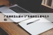 广东麻将怎么查id（广东麻将怎么看中几个码）